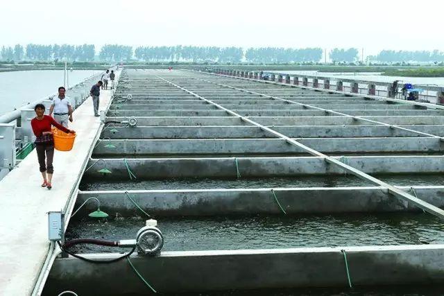 中国最大的富硒产品厂家(中国最大的富硒产品厂家)-硒宝网