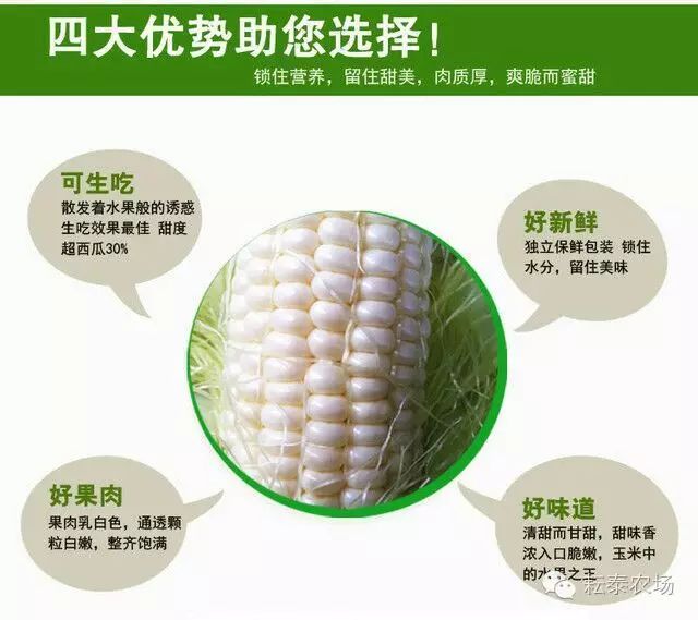 富硒玉米是不是有机产品（富硒玉米好吃吗）-硒宝网