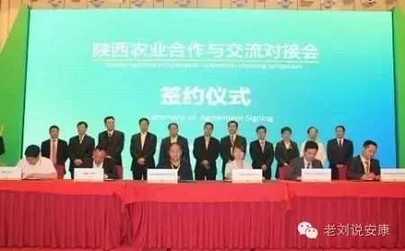 阳晨集团农产品富硒产品(晨阳果业有限公司)-硒宝网