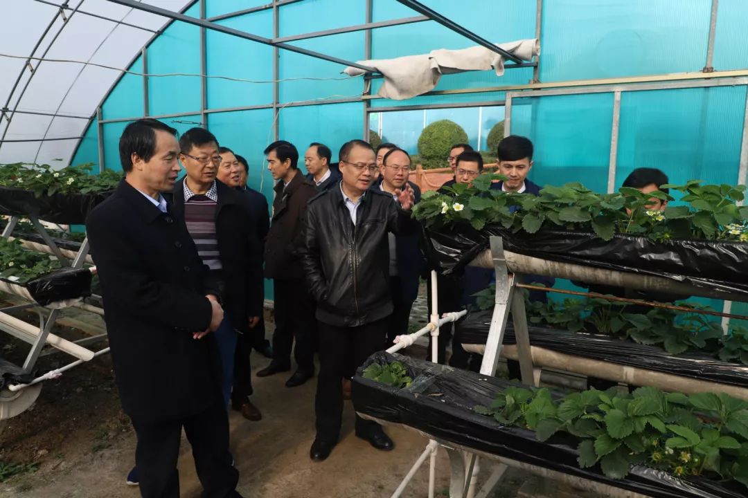 阳晨集团农产品富硒产品（晨农集团介绍）-硒宝网