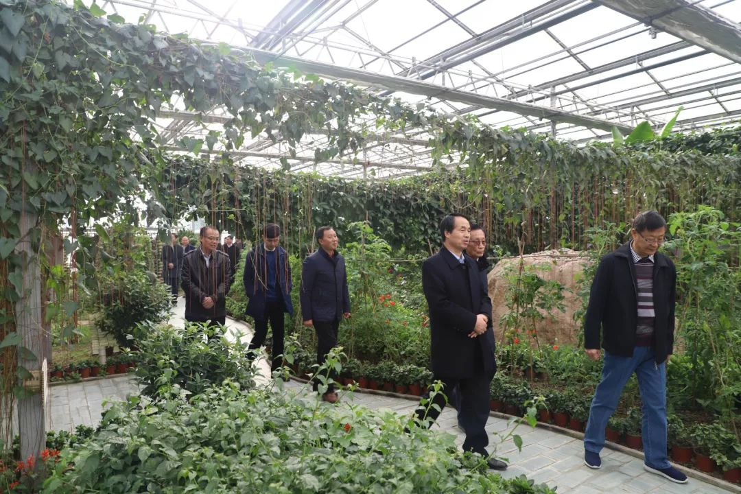 阳晨集团农产品富硒产品（晨农集团介绍）-硒宝网