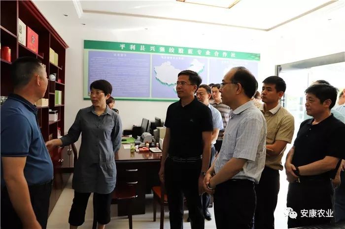 阳晨集团农产品富硒产品（晨阳农业有限公司）-硒宝网