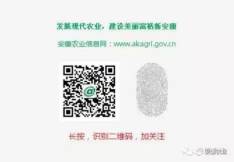 阳晨集团农产品富硒产品（晨阳农业有限公司）-硒宝网