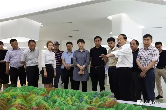 阳晨集团农产品富硒产品（晨阳农业有限公司）-硒宝网