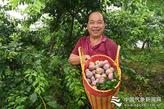 富硒农产品产品批发市?。ǜ晃┎肥谐」婺＃?硒宝网