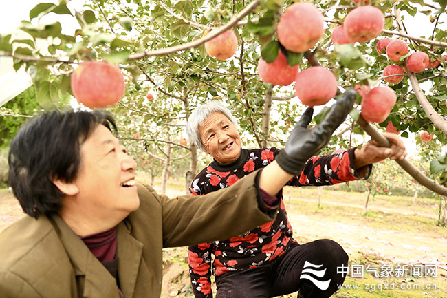 富硒农产品产品批发市场（富硒农产品市场规模）-硒宝网