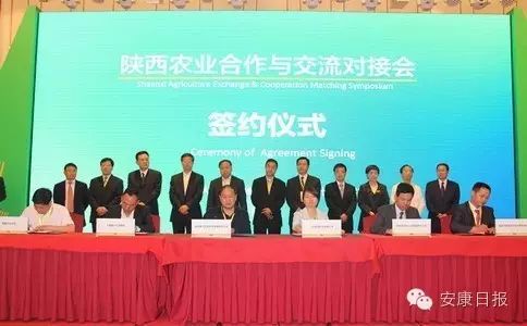 阳晨集团农产品富硒产品（晨农集团董事长）-硒宝网