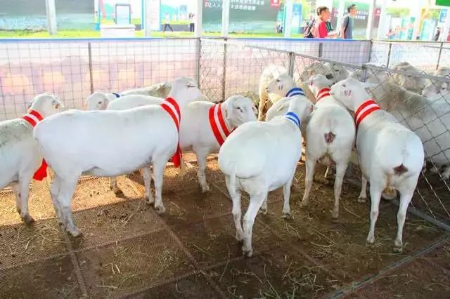 恩施富硒产品卖到哪里了（卖恩施富硒产品到哪里进货）-硒宝网