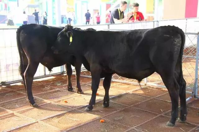 恩施富硒产品卖到哪里了（卖恩施富硒产品到哪里进货）-硒宝网