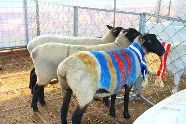 恩施富硒产品卖到哪里了（卖恩施富硒产品到哪里进货）-硒宝网