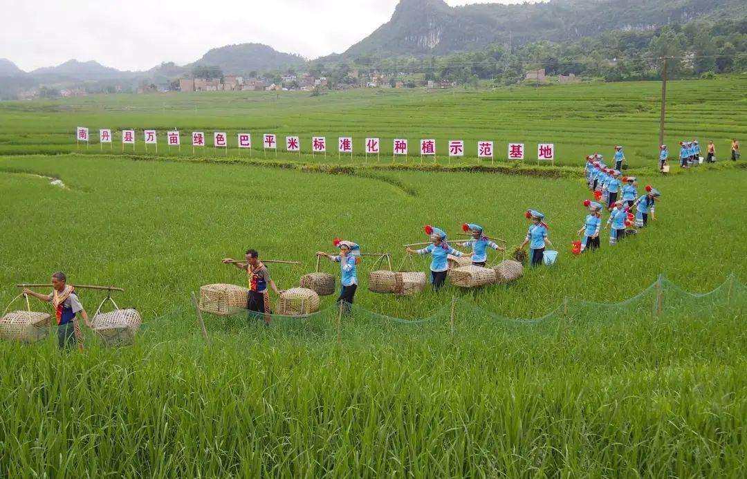 广西地方标准富硒农产品(广西富硒农产品认证在哪里办理)-硒宝网