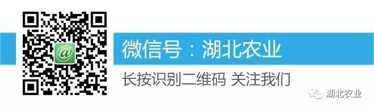 恩施富硒产品卖到哪里了（卖恩施富硒产品到哪里买）-硒宝网