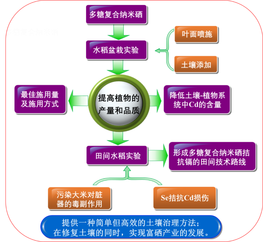 规范产品质量 富硒产业（规范产业质量富硒产品有哪些）-硒宝网