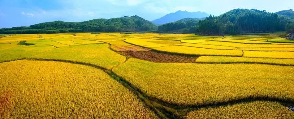 广西地方标准富硒农产品（广西富硒农业）-硒宝网