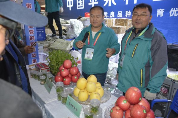 重庆富硒认证有机农产品(重庆市江津富硒农产品)-硒宝网