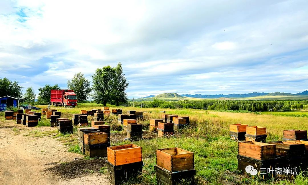 人们所说的富硒产品是指(什么是富硒农产品)-硒宝网