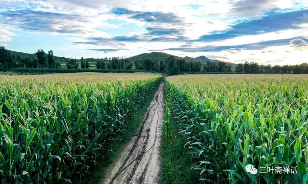 人们所说的富硒产品是指(什么是富硒农产品)-硒宝网