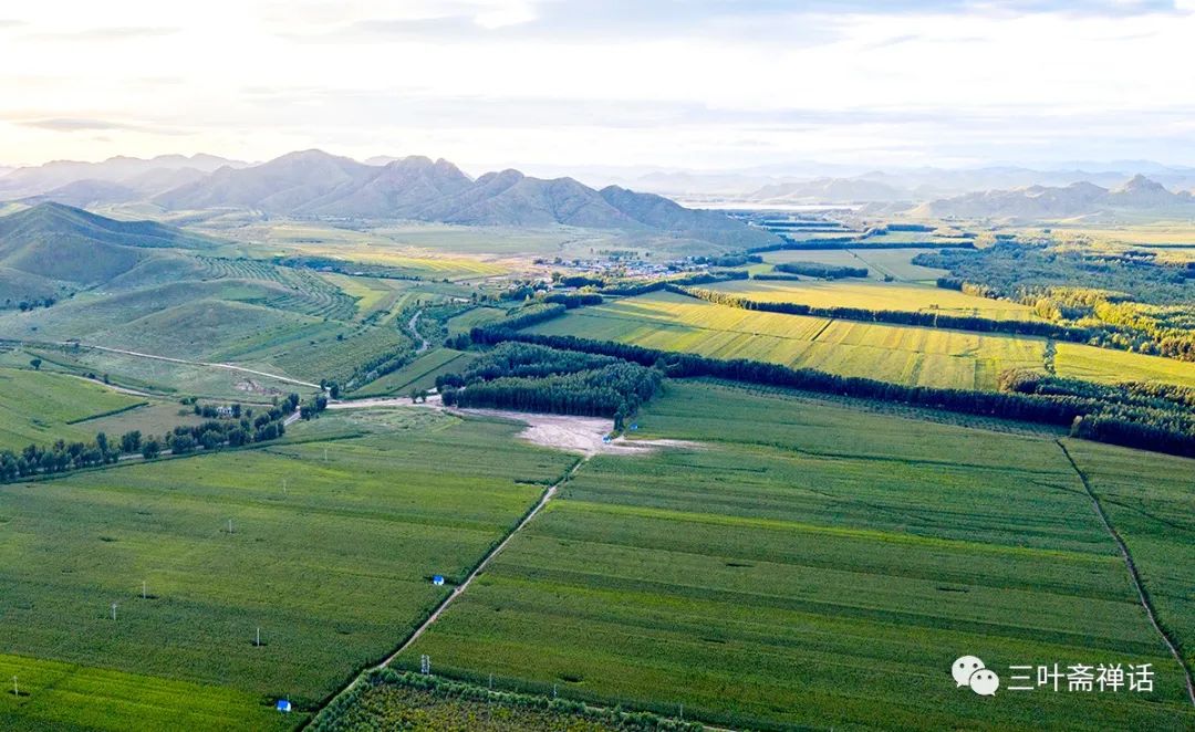 人们所说的富硒产品是指(什么是富硒农产品)-硒宝网