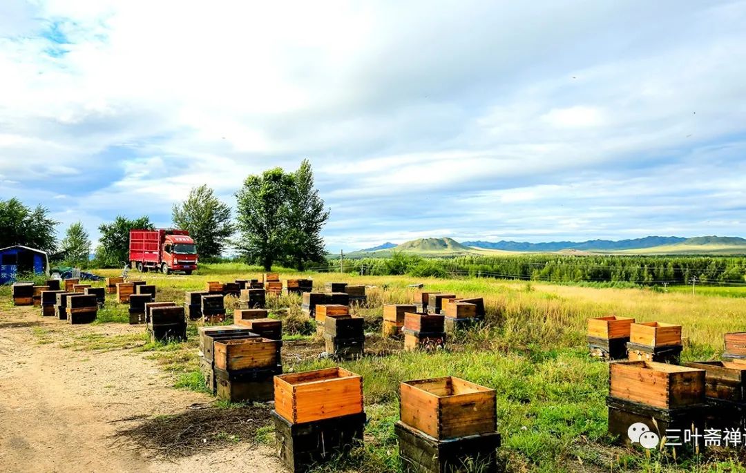 人们所说的富硒产品是指(什么是富硒农产品)-硒宝网