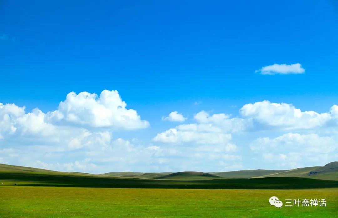 人们所说的富硒产品是指(什么是富硒农产品)-硒宝网