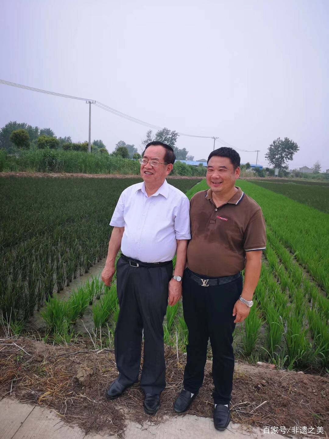 介绍富硒产品的书法作品(富硒字体设计)-硒宝网