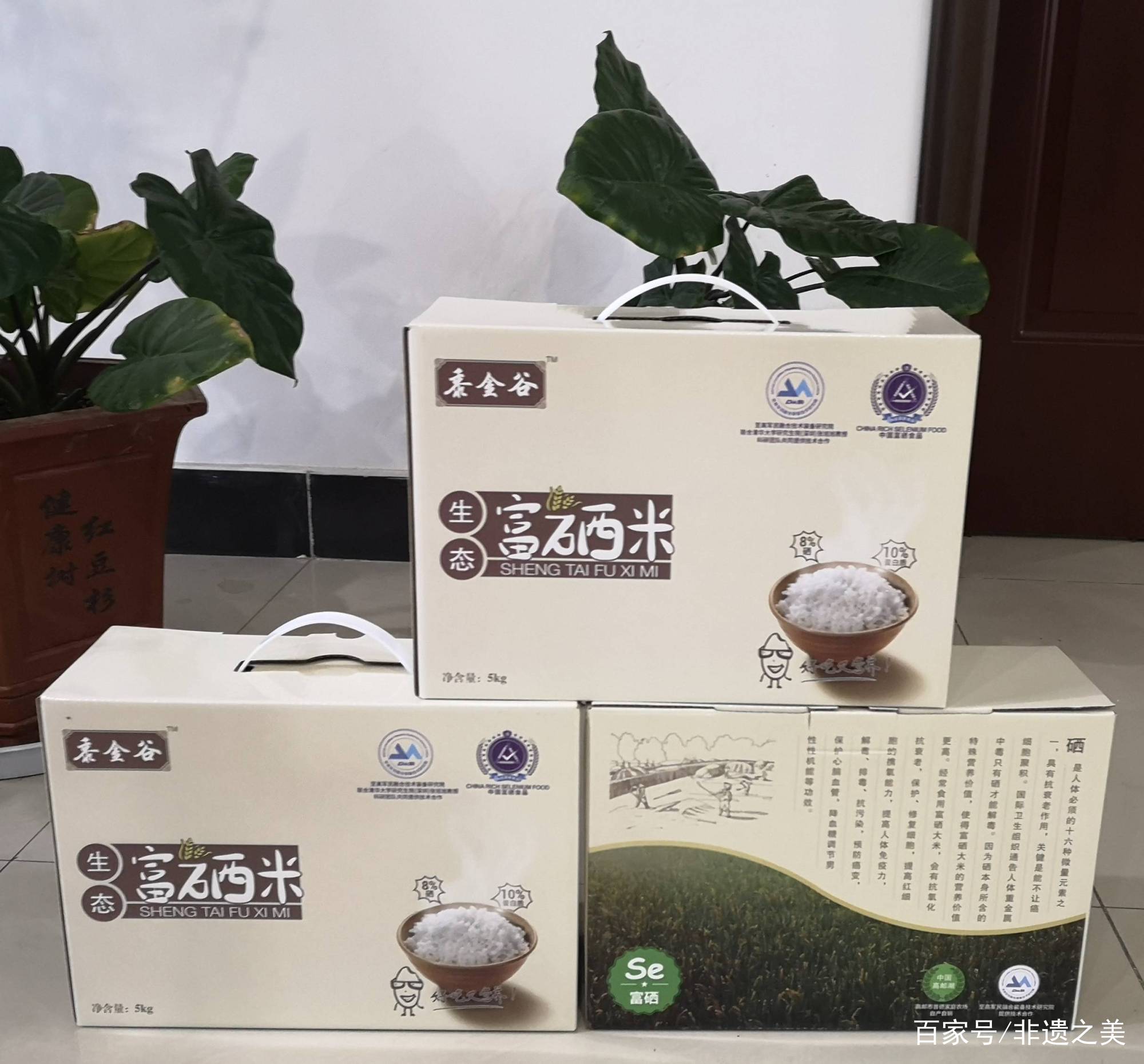 介绍富硒产品的书法作品(富硒字体设计)-硒宝网