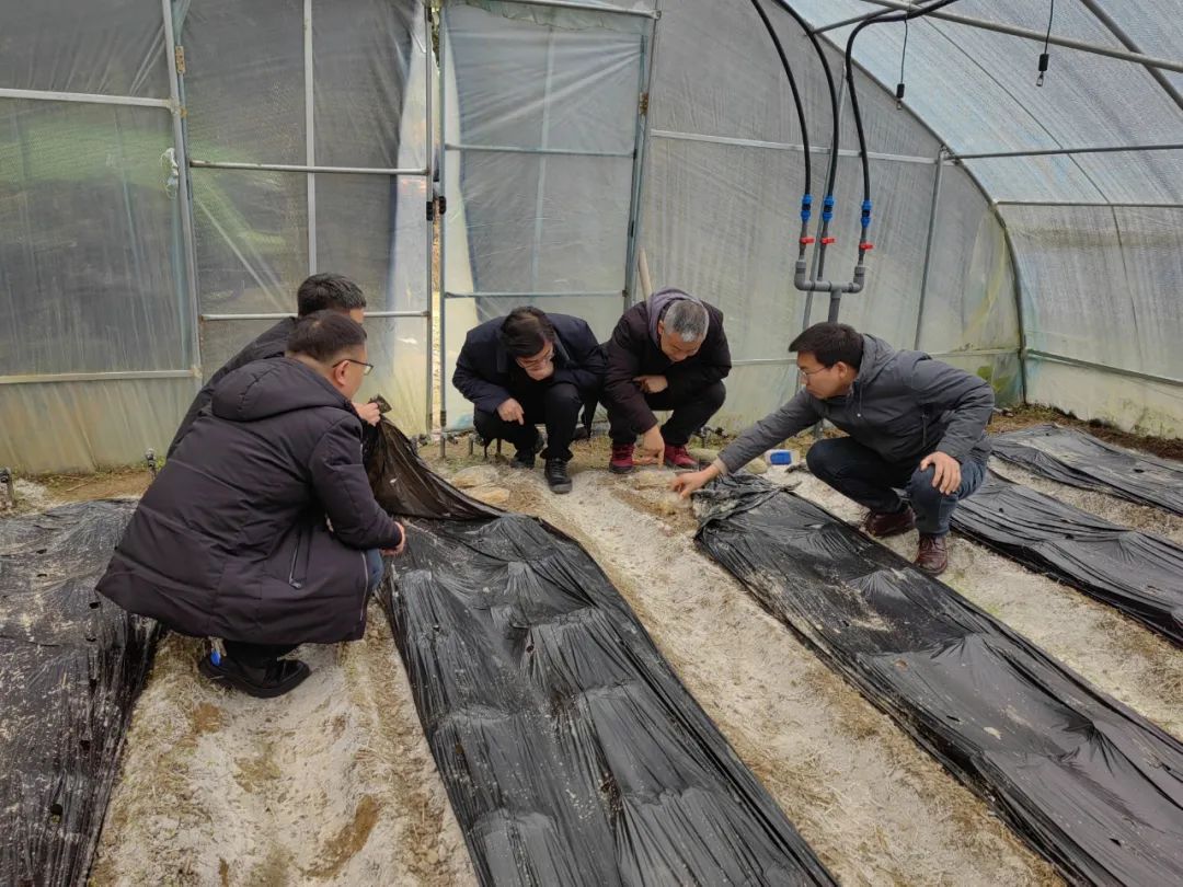 市富硒产品研发中心主任(富硒产业发展中心)-硒宝网