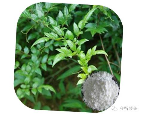 人们所说的富硒产品是指（何为富硒产品）-硒宝网