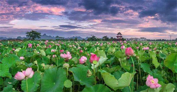 广西巴马主要富硒农产品(巴马富硒水有什么效果呢)-硒宝网