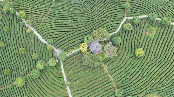 广西巴马主要富硒农产品(巴马富硒水有什么效果呢)-硒宝网