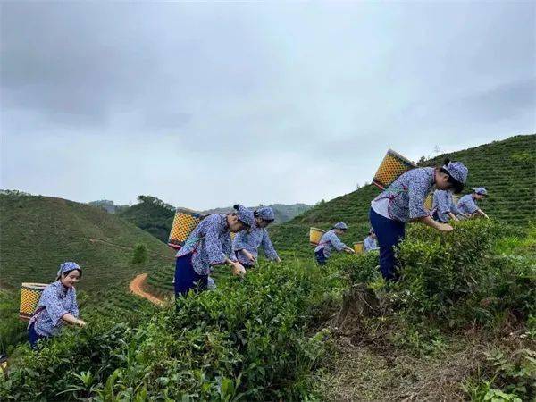 广西巴马主要富硒农产品(巴马富硒水有什么效果呢)-硒宝网