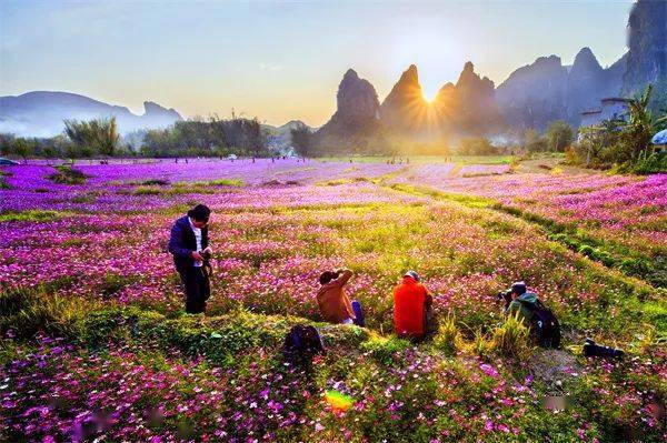 广西巴马主要富硒农产品(巴马富硒水有什么效果呢)-硒宝网