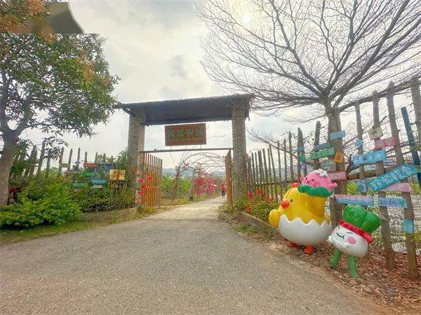 广西巴马主要富硒农产品(巴马富硒水有什么效果呢)-硒宝网