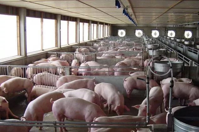 富硒粮食农产品优势分析(富硒粮仓是一个什么企业)-硒宝网