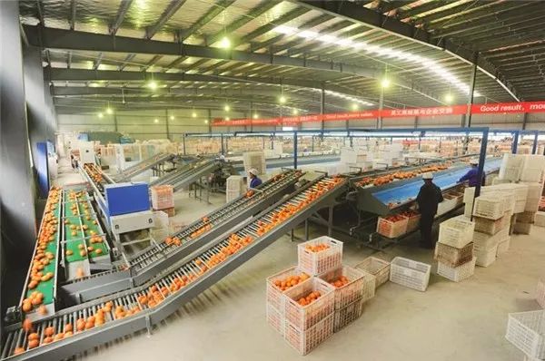 富硒粮食农产品优势分析(富硒粮仓是一个什么企业)-硒宝网