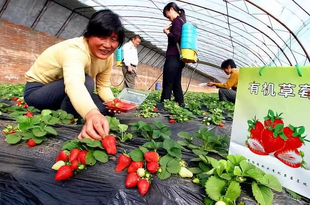 富硒粮食农产品优势分析(富硒粮仓是一个什么企业)-硒宝网