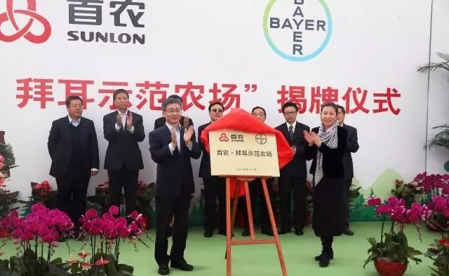 富硒粮食农产品优势分析(富硒粮仓是一个什么企业)-硒宝网