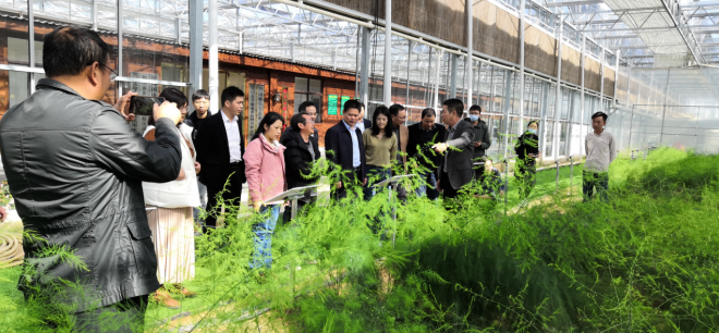 富硒粮食农产品优势分析(富硒粮食对人体的好处)-硒宝网