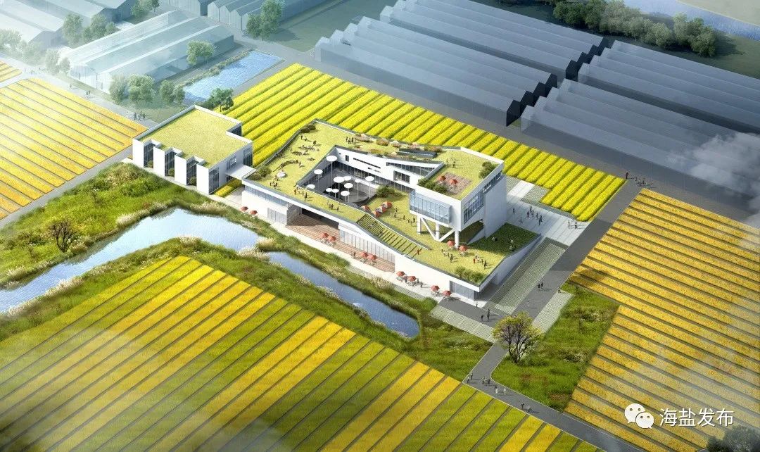 海盐富硒农产品产业情况（海盐农资公司）-硒宝网