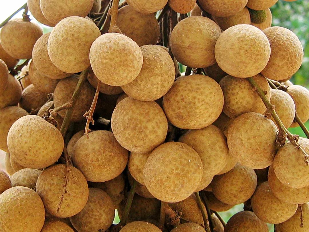 贵港日报富硒农产品品牌(贵港富硒)-硒宝网