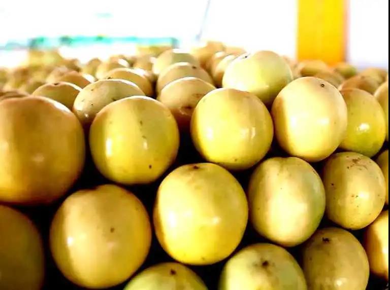 贵港日报富硒农产品品牌(贵港富硒)-硒宝网