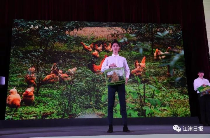 江津富硒农产品品牌建设(江津富硒茶叶介绍)-硒宝网