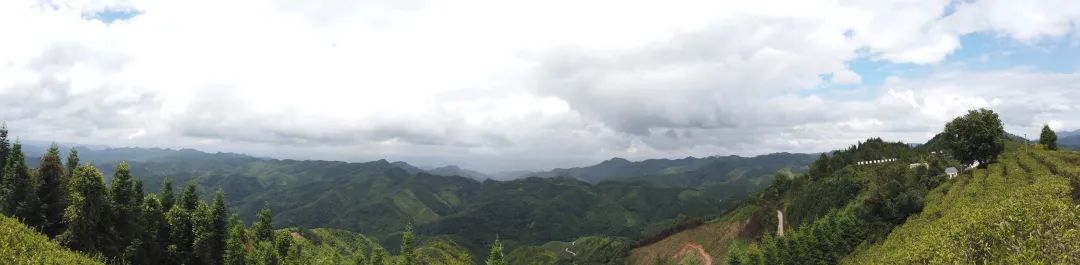 介绍富硒产品的视频短片（富硒产品的作用）-硒宝网