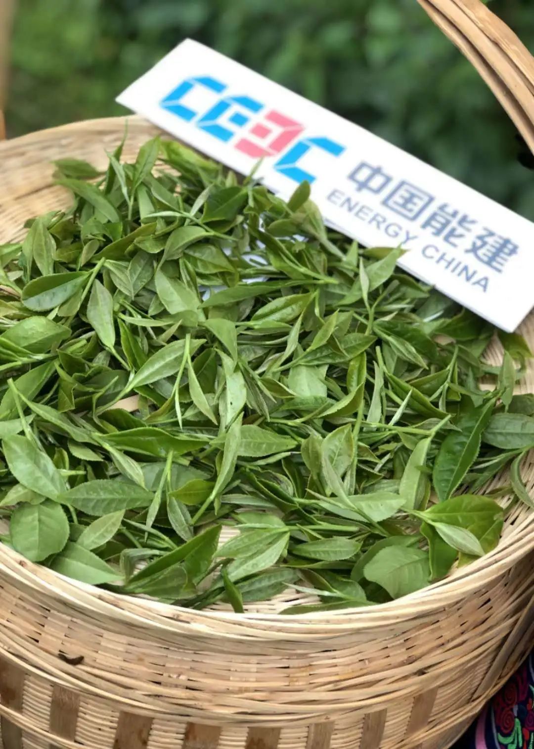 介绍富硒产品的视频短片（富硒产品的作用）-硒宝网