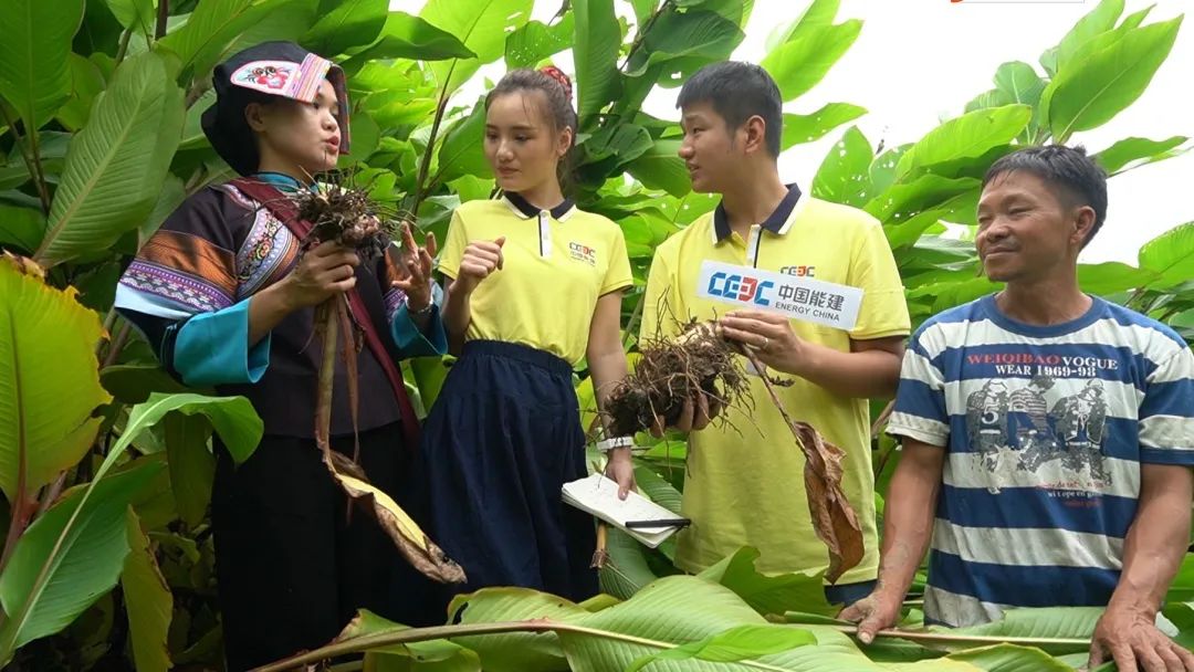 介绍富硒产品的视频短片（富硒产品的作用）-硒宝网
