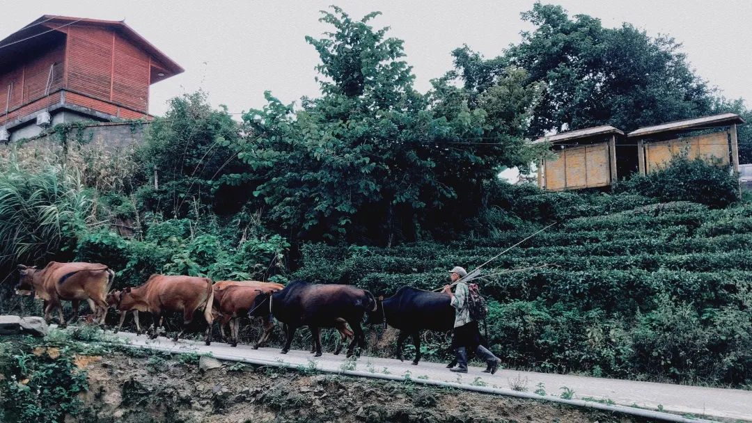 介绍富硒产品的视频短片（富硒产品的作用）-硒宝网
