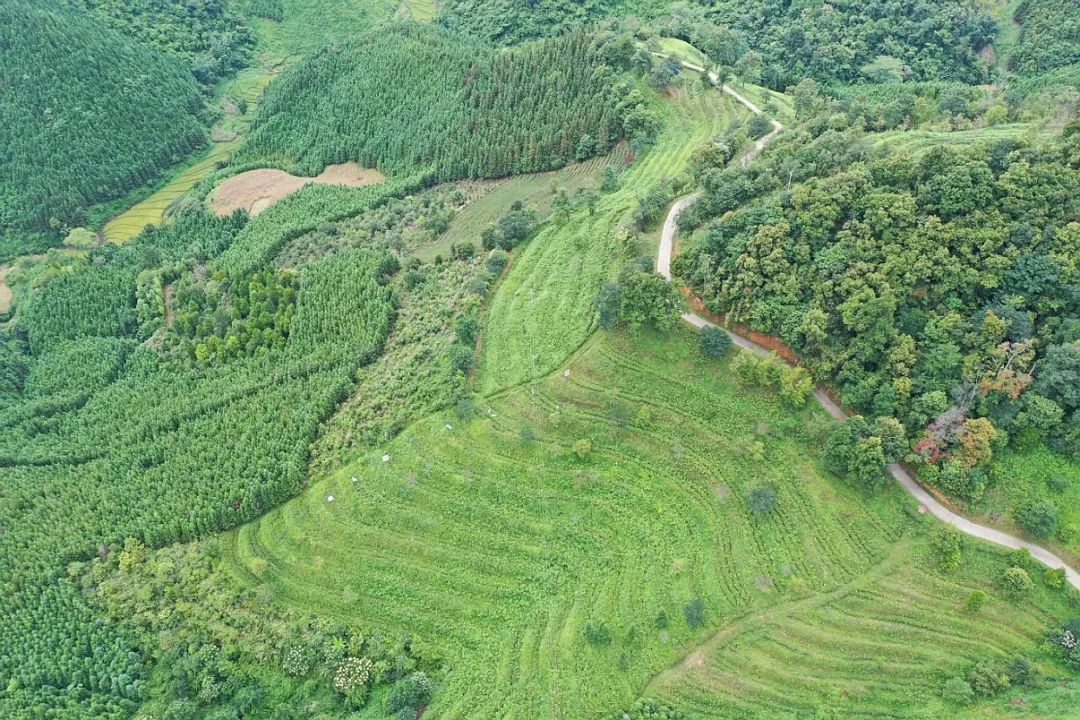 介绍富硒产品的视频短片（富硒产品的作用）-硒宝网