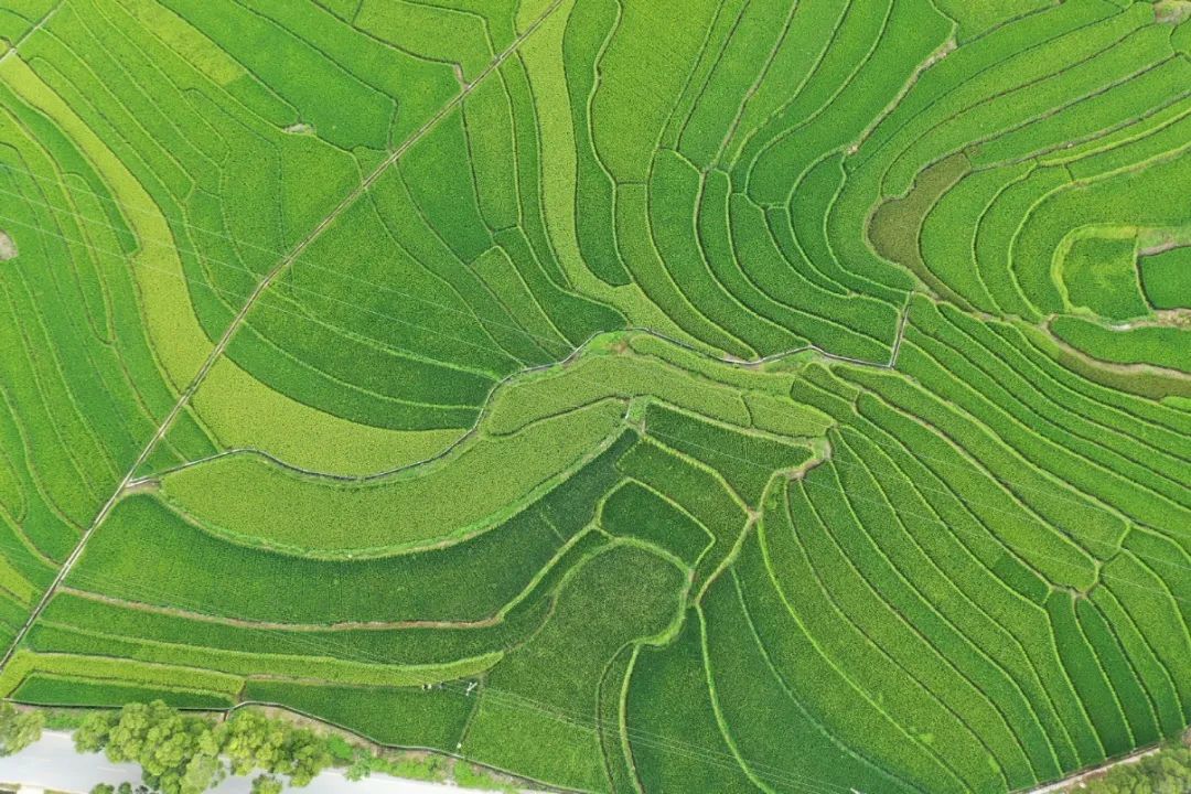 介绍富硒产品的视频短片（富硒产品的作用）-硒宝网