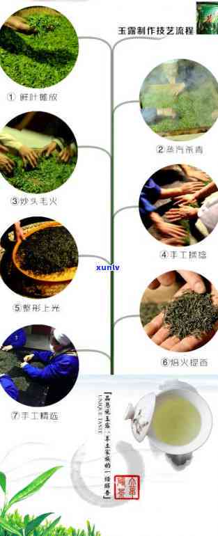 南江富硒茶是地理产品吗(富硒产品炒作)-硒宝网