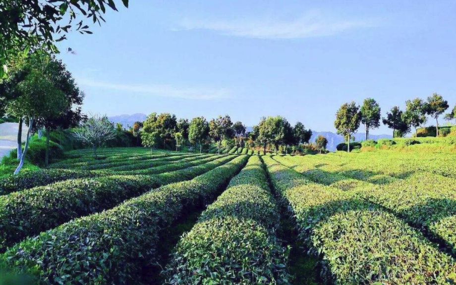 富硒产品属于保健食品吗（保健食品属于富硒产品吗）-硒宝网